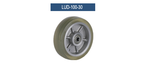 LUD-100-30