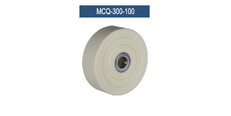 MCQ-300-100