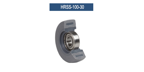 HRSS-100-30