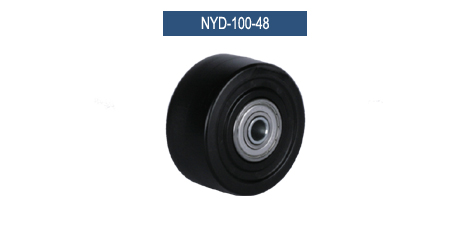 NYD-100-48