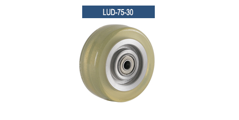 LUD-75-30